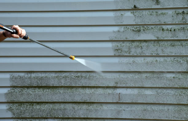Best Solar Panel Cleaning  in Twin Grove, IL