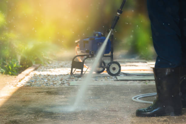 Best Rust Removal  in Twin Grove, IL